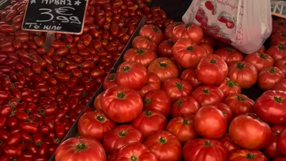 Local market and Greek traditional cooking class